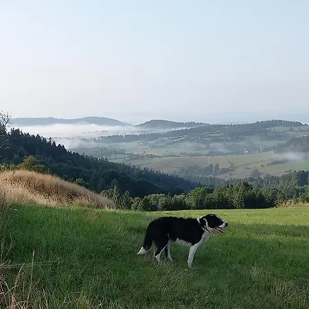 Smrek Sokolec カントリーハウス