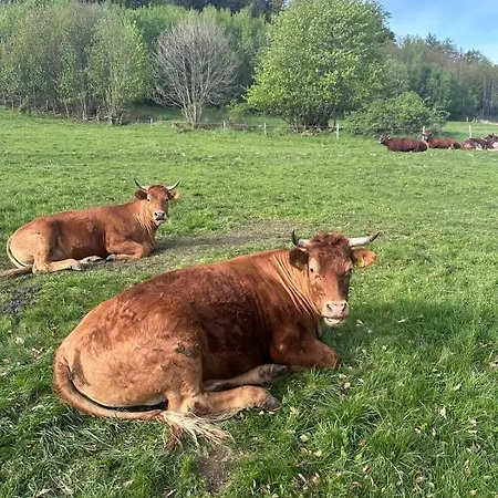 カントリーハウス Smrek Sokolec *