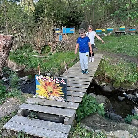 Smrek Sokolec Ludwikowice Klodzkie