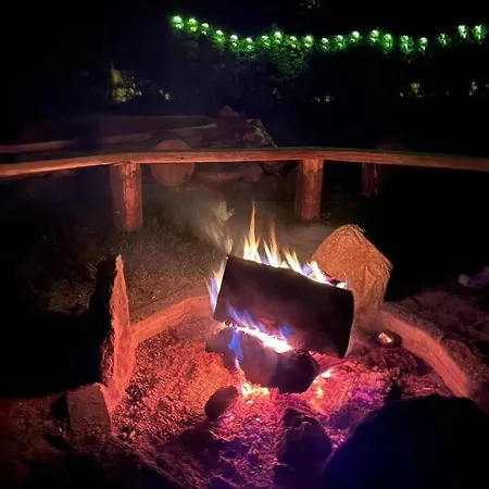 Smrek Sokolec * ルドビコビツェ・クウォツキエ