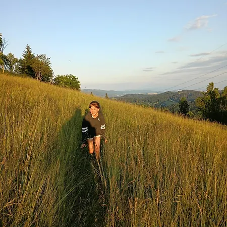 カントリーハウス Smrek Sokolec *