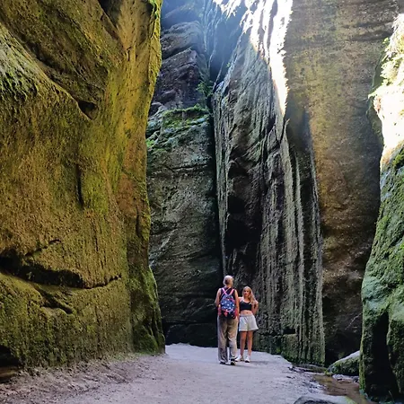 Smrek Sokolec * ルドビコビツェ・クウォツキエ