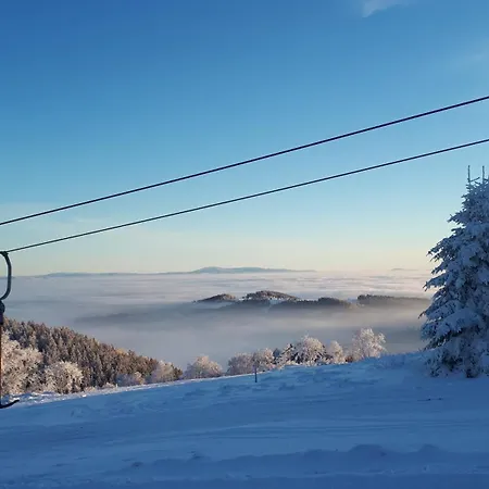 Smrek Sokolec カントリーハウス *