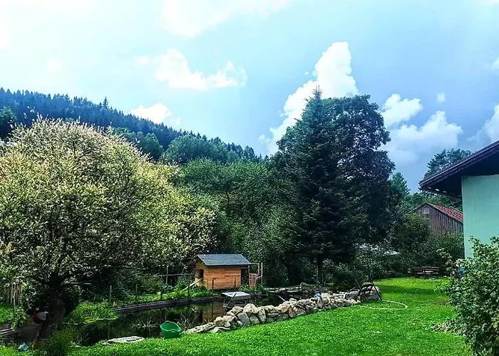 Smrek Sokolec * ルドビコビツェ・クウォツキエ