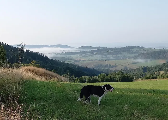 Smrek Sokolec カントリーハウス
