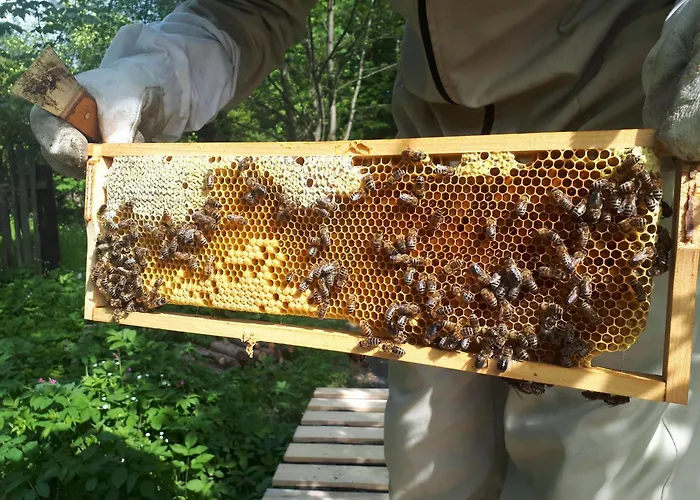 Smrek Sokolec カントリーハウス