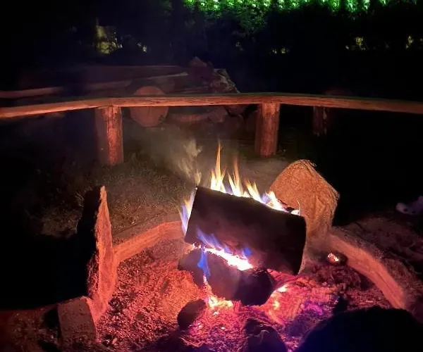 Smrek Sokolec * ルドビコビツェ・クウォツキエ