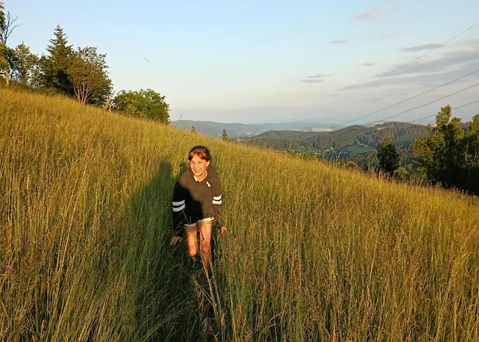 カントリーハウス Smrek Sokolec *