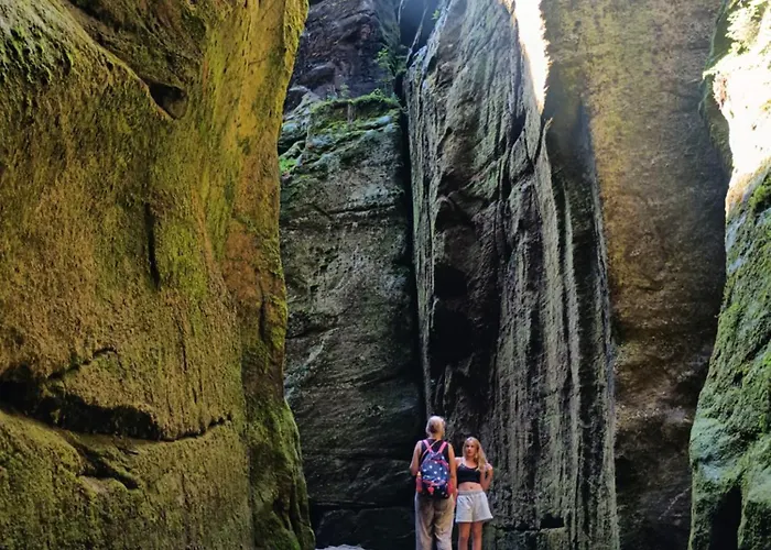 Smrek Sokolec * ルドビコビツェ・クウォツキエ